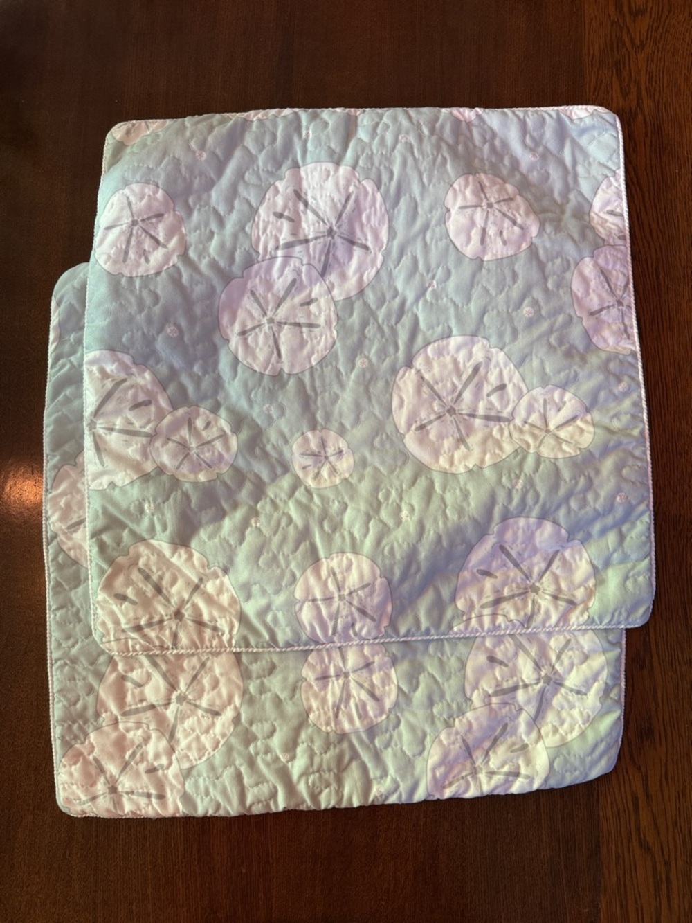 Set-of-2 20” square Pillow Covers, Sand Dollar/Beach Theme, pale blue/white/gray